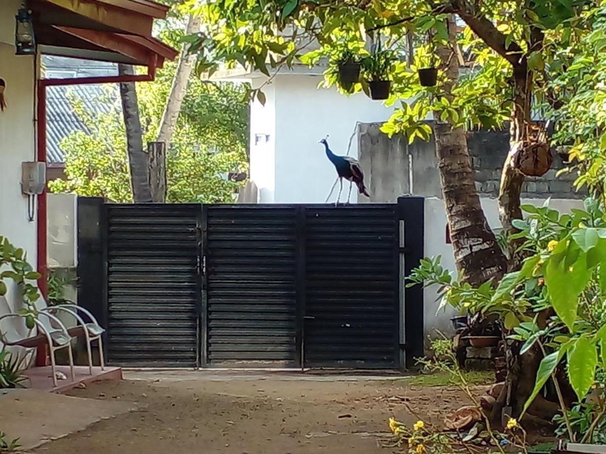 4Ty Two Homestay Galle Exterior foto