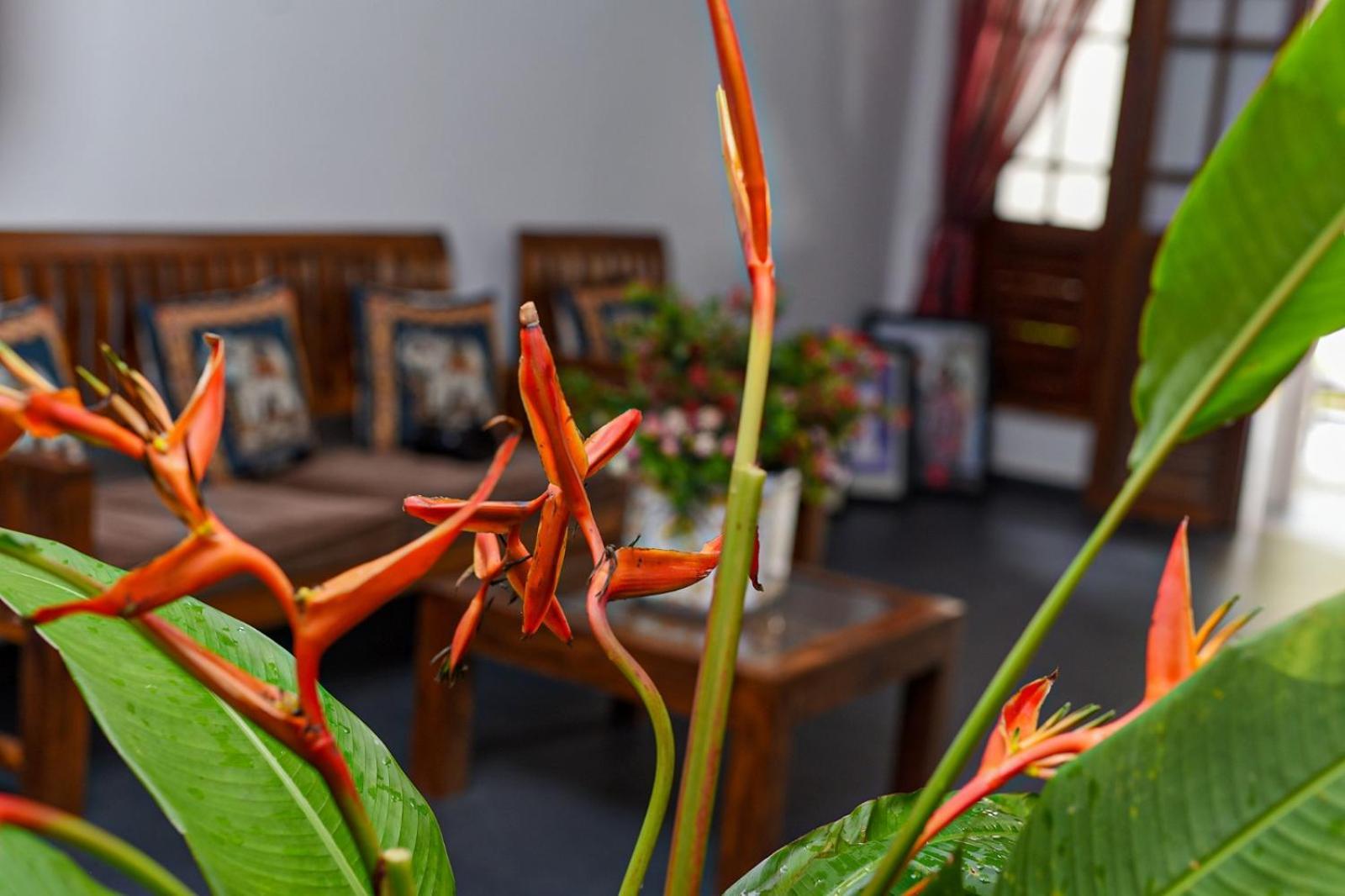 4Ty Two Homestay Galle Exterior foto